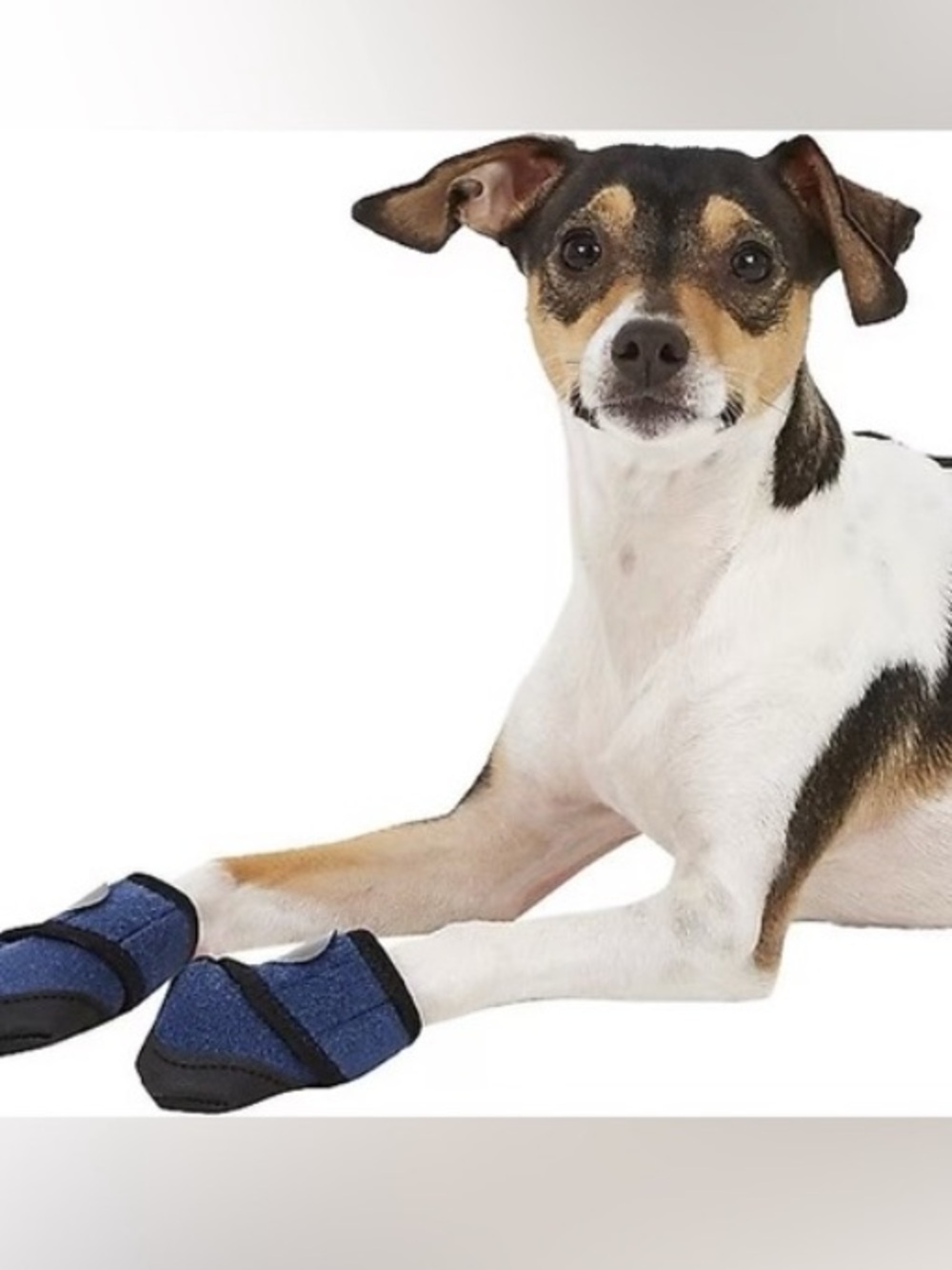 Healers Dog Booties with Gauze Inserts Medium NWT Paw Protection